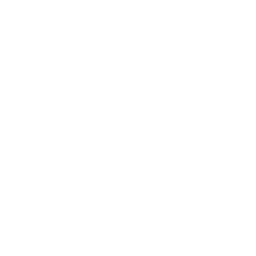 strategy
