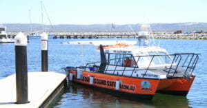 Mark on the Young Salty Dog