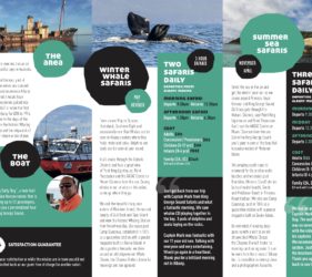 New brochure inside pages